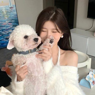小女不听将军令 高清封面